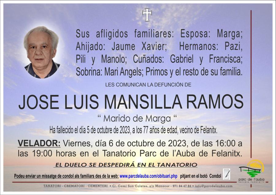 JOSE LUIS MANSILLA RAMOS