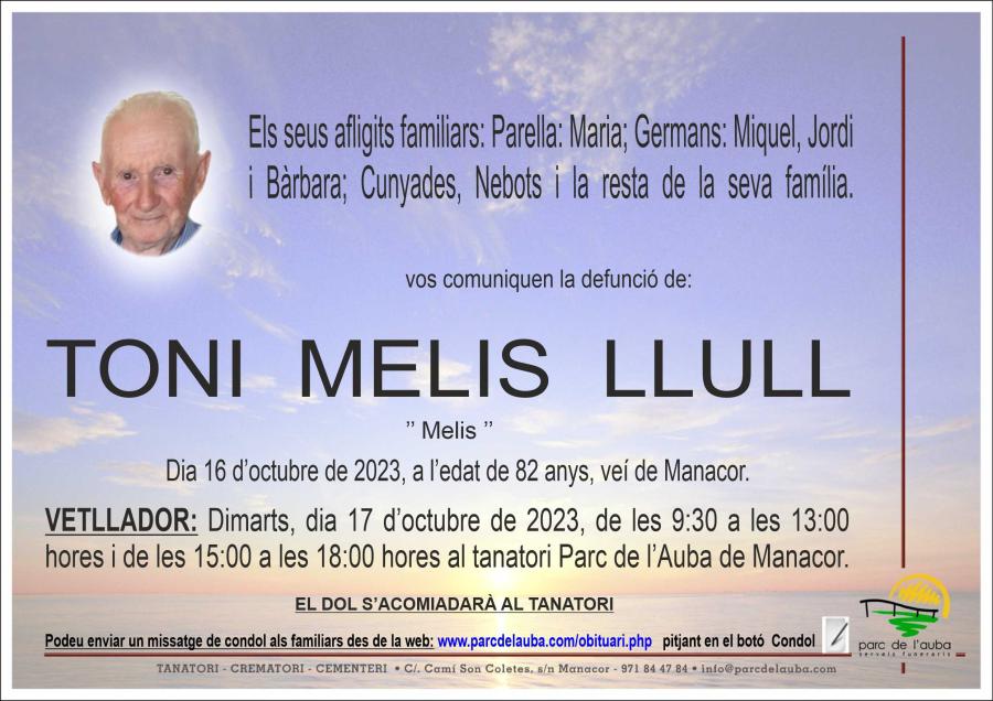 TONI MELIS LLULL