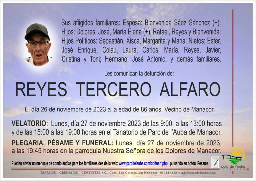 REYES TERCERO ALFARO