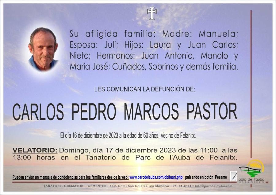 CARLOS PEDRO MARCOS PASTOR
