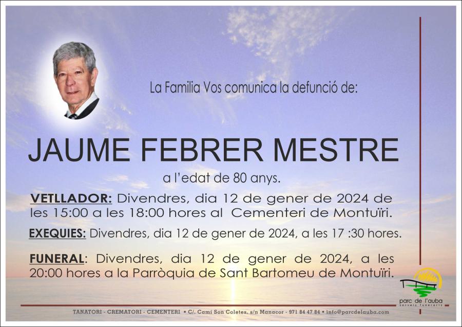 JAUME FEBRER MESTRE