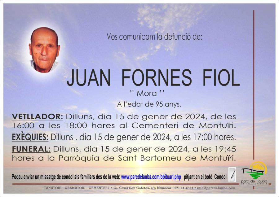 JUAN  FORNES FIOL