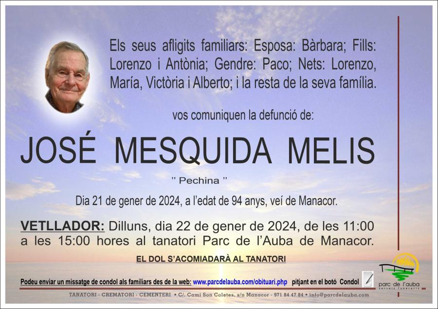 JOSÉ MESQUIDA MELIS