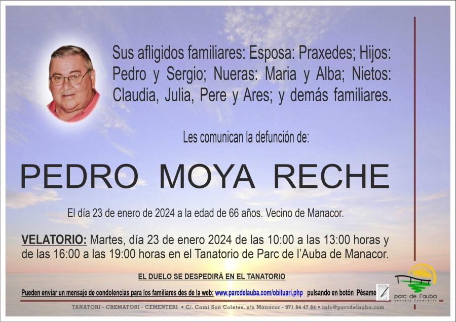 PEDRO MOYA RECHE