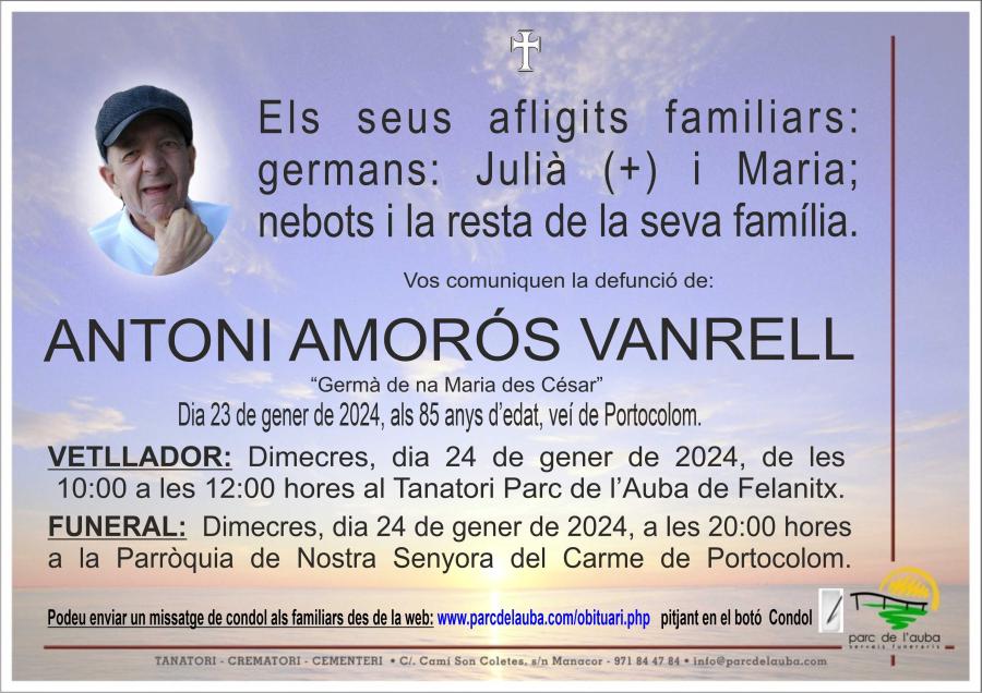 ANTONI AMOROS VANRELL