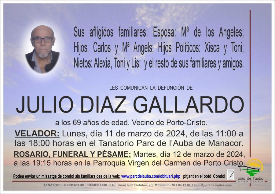 JULIO DIAZ GALLARDO