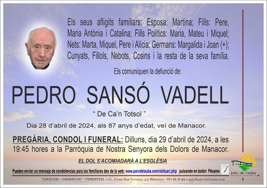 PEDRO SANSÓ VADELL