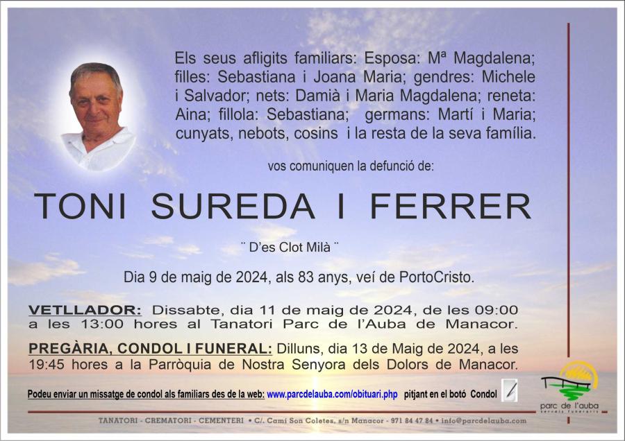 TONI SUREDA  I  FERRER