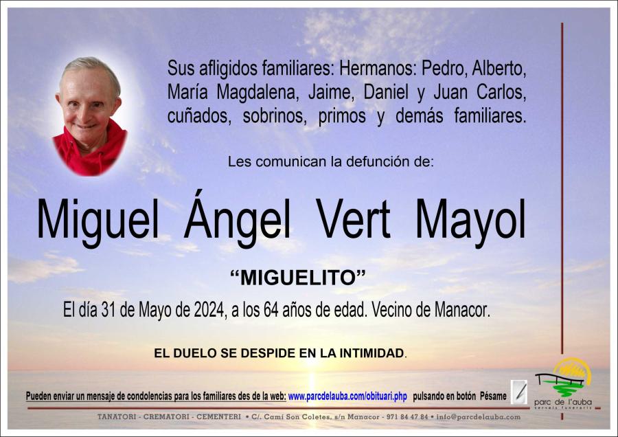 MIGUEL ÁNGEL VERT  MAYOL