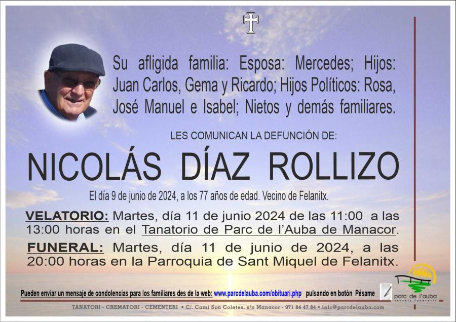 NICOLAS DIAZ ROLLIZO