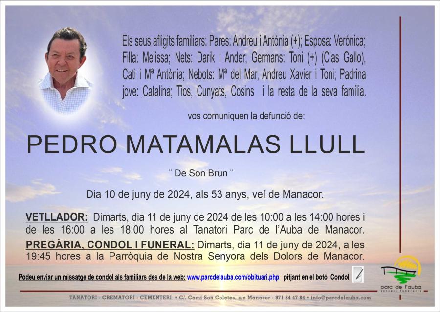 PEDRO MATAMALAS LLULL