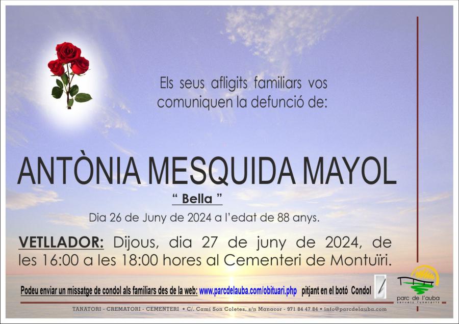 ANTÃ'NIA  MESQUIDA MAYOL