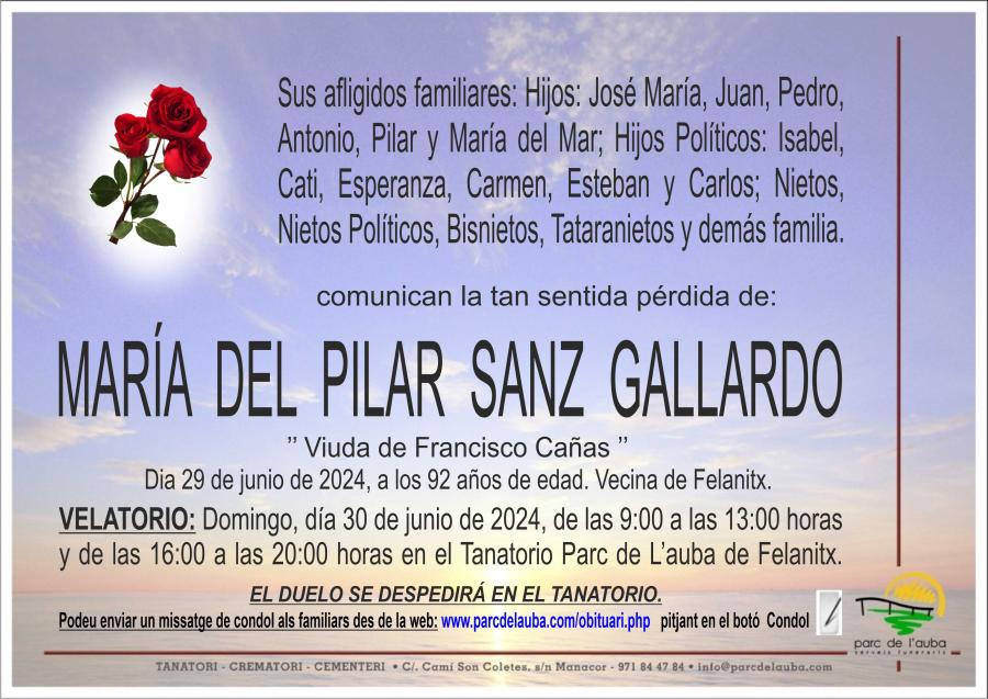 MARÍA DEL PILAR SANZ GALLARDO