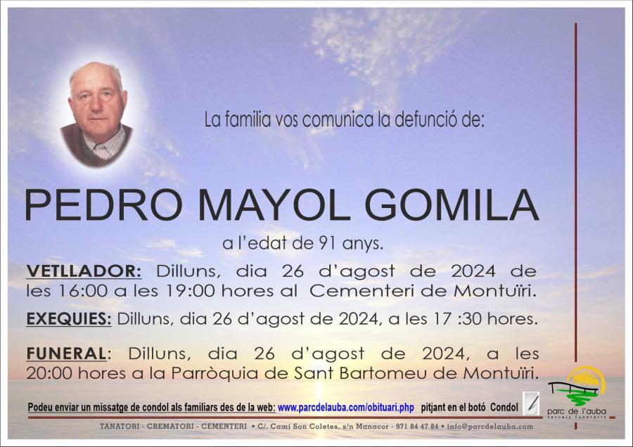 PEDRO MAYOL GOMILA