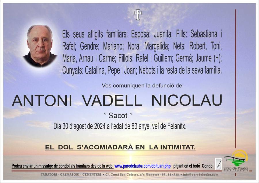 ANTONI VADELL NICOLAU