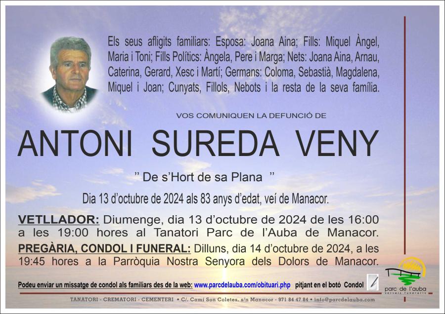 ANTONI  SUREDA VENY