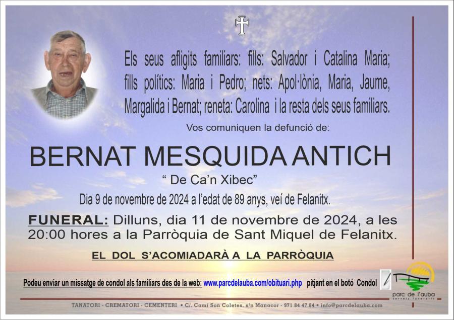 BERNAT MESQUIDA ANTICH