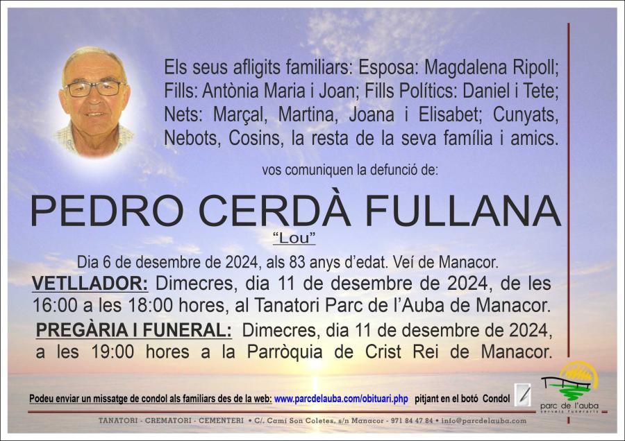 PEDRO CERDÀ FULLANA