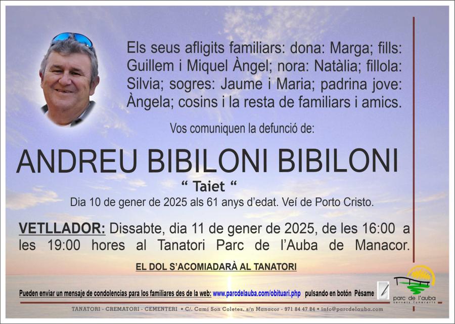 ANDREU BIBILONI BIBILONI