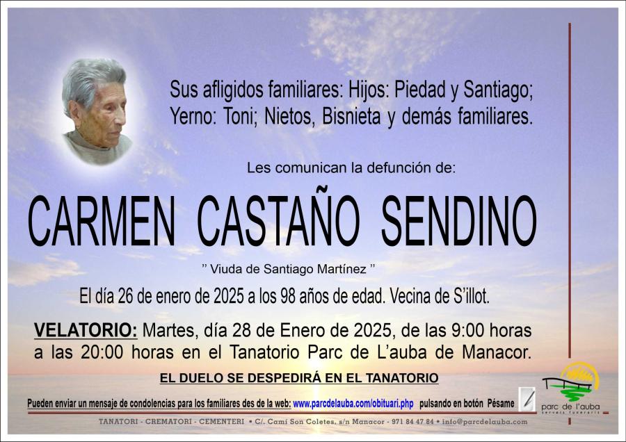 CARMEN CASTAÑO SENDINO