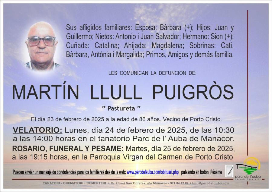 MARTÍN  LLULL PUIGRÃ'S