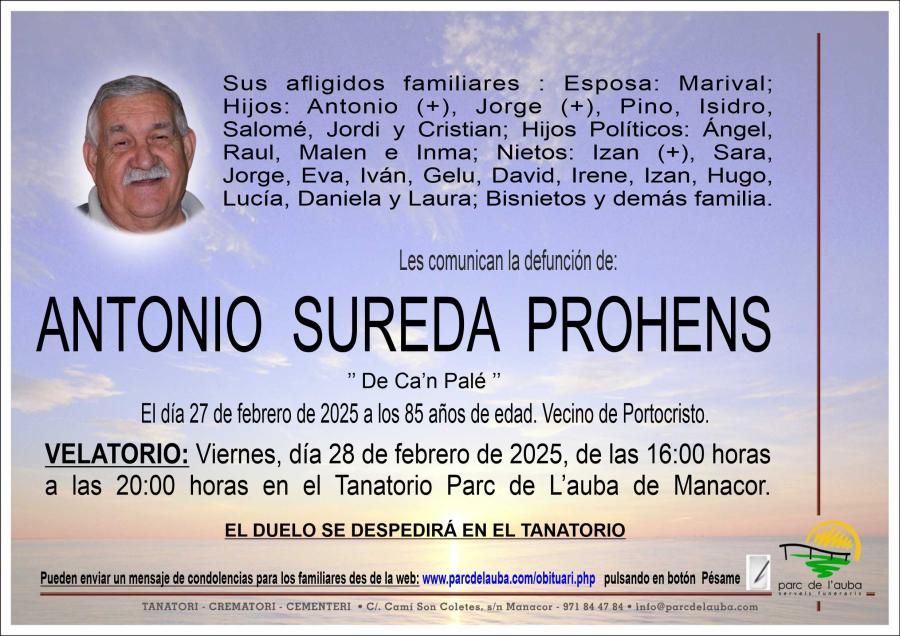 ANTONIO SUREDA PROHENS