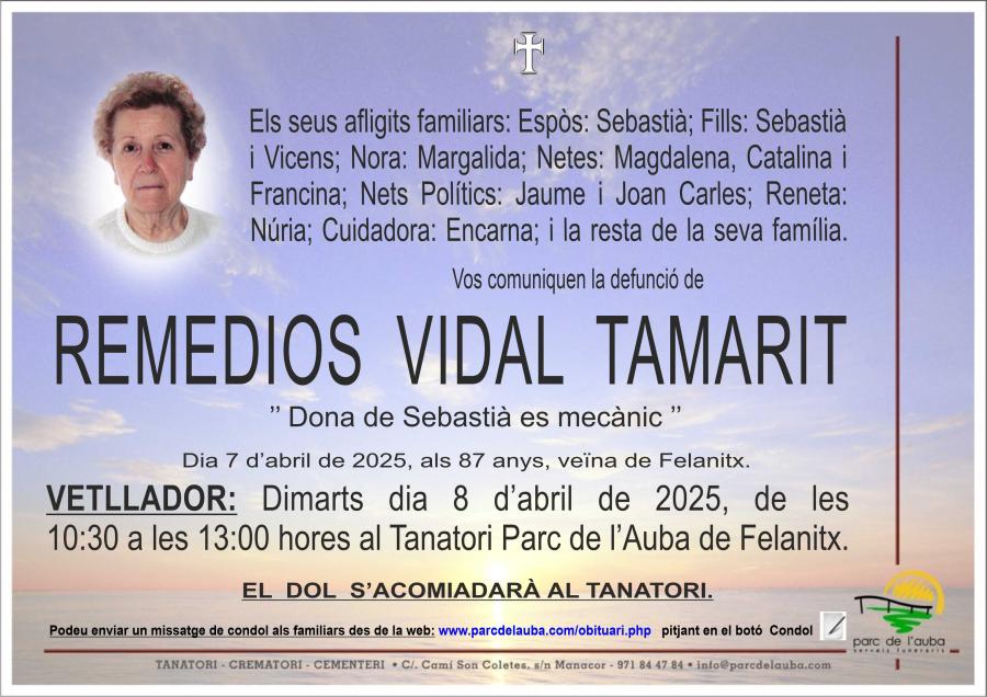 REMEDIOS  VIDAL TAMARIT