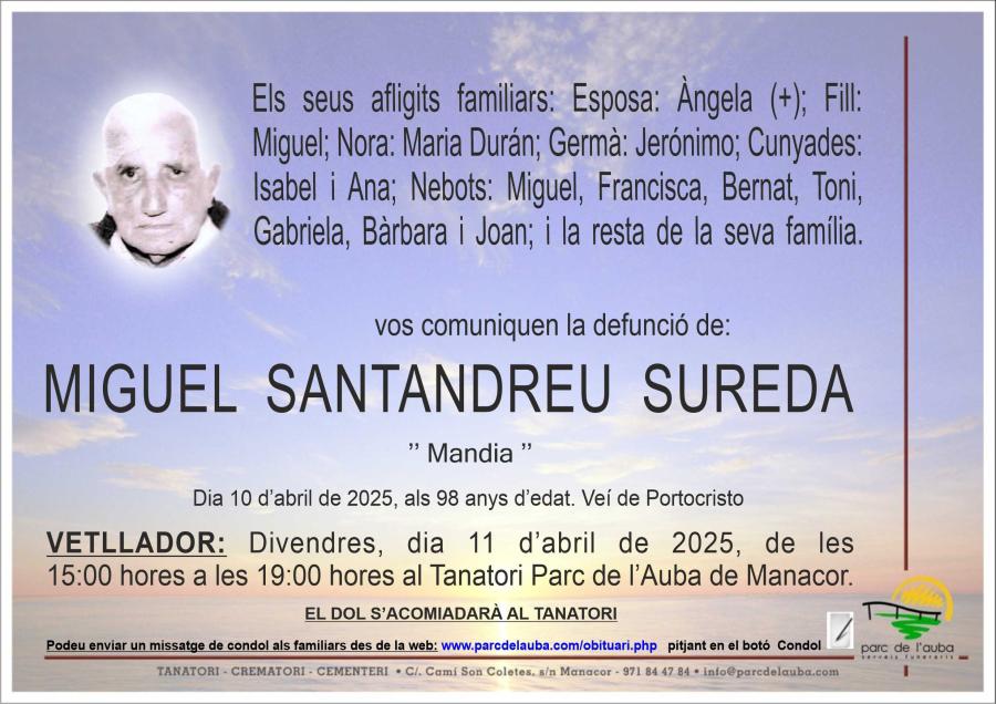 MIGUEL SANTANDREU SUREDA