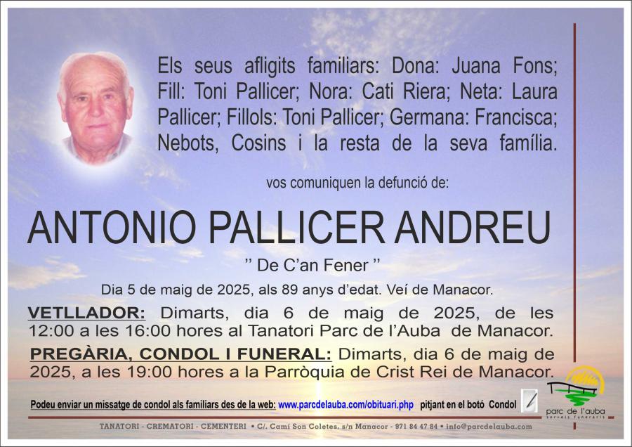 ANTONIO PALLICER ANDREU