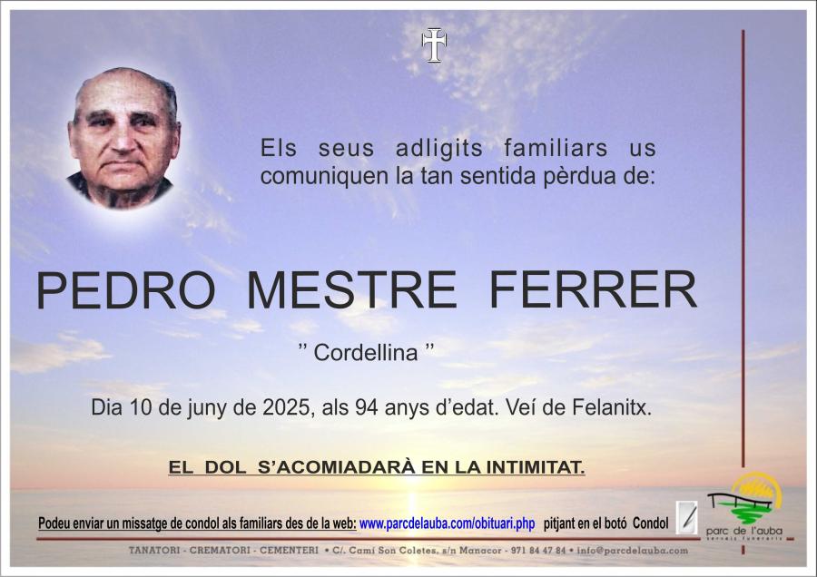 PEDRO MESTRE FERRER