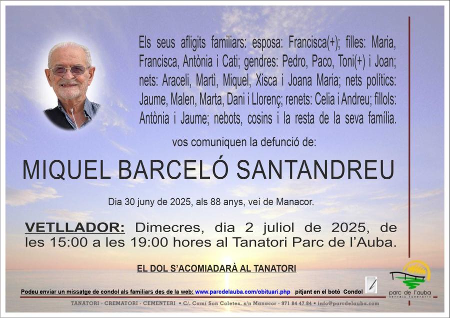 MIQUEL BARCELÓ SANTANDREU