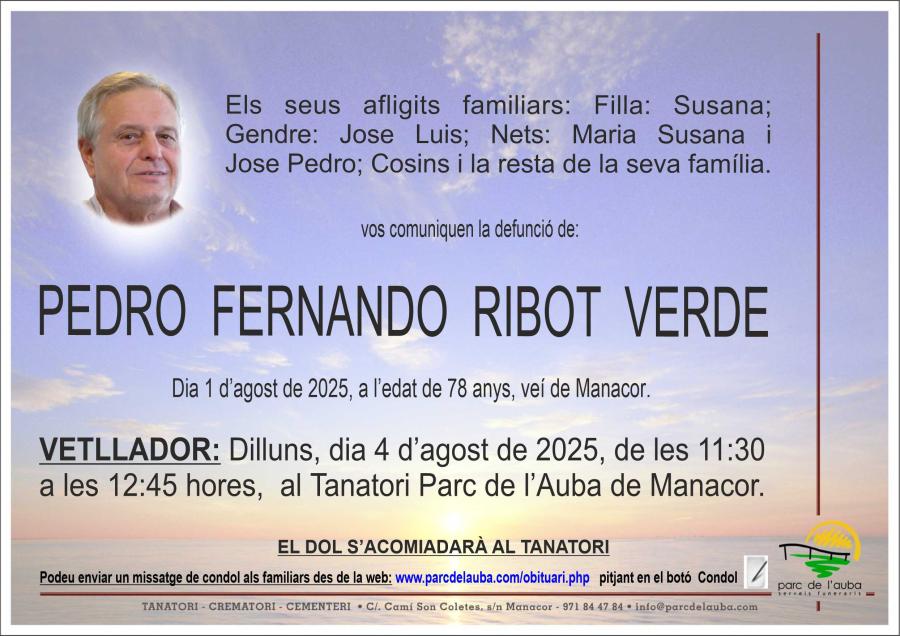 PEDRO FERNANDO RIBOT VERDE