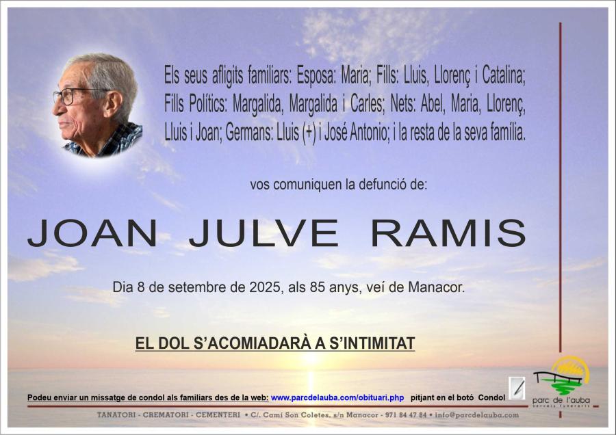 JOAN JULVE RAMIS