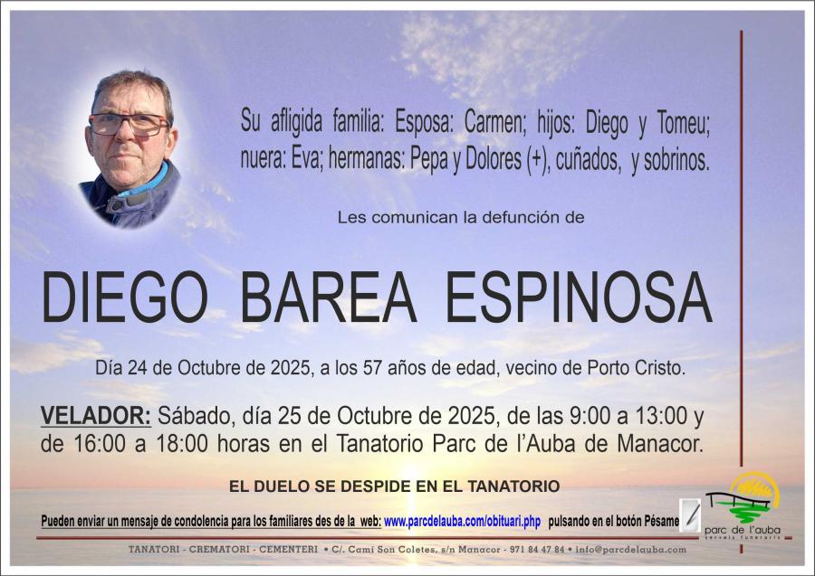 DIEGO BAREA ESPINOSA
