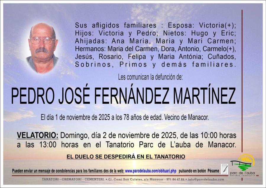 PEDRO JOSÉ FERNÁNDEZ MARTÍNEZ