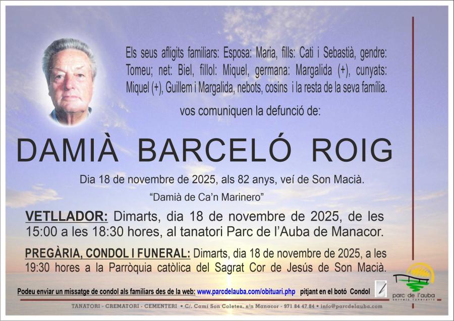 DAMIÀ BARCELÓ ROIG