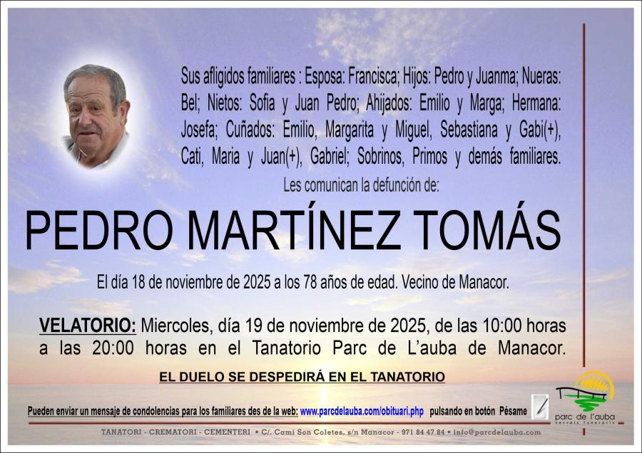 PEDRO MARTÍNEZ TOMÁS