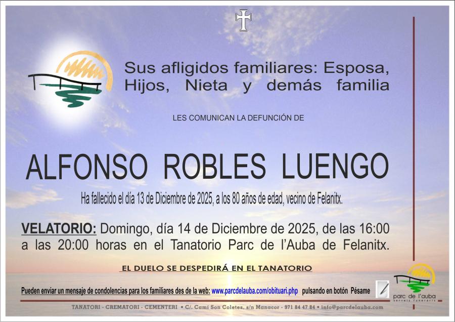 ALFONSO ROBLES LUENGO